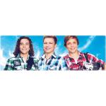 22-01-2014 - mcs_marketing - Die Dorfrocker - banner.jpg